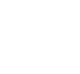 Linked In logo